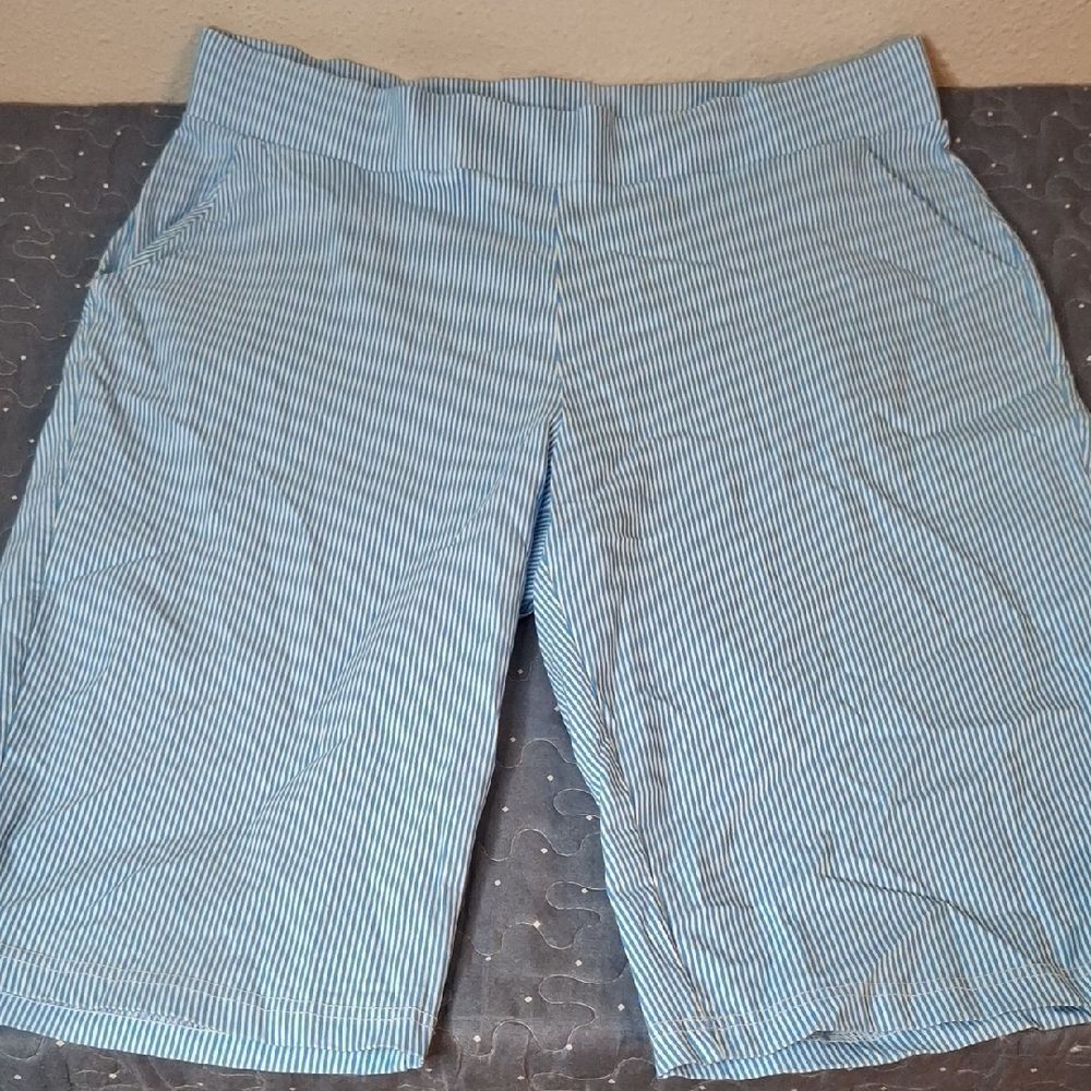 Donna Moore Blue Striped Shorts size 1X